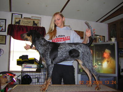BALU